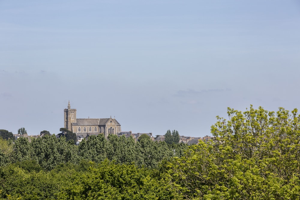 Photo 41