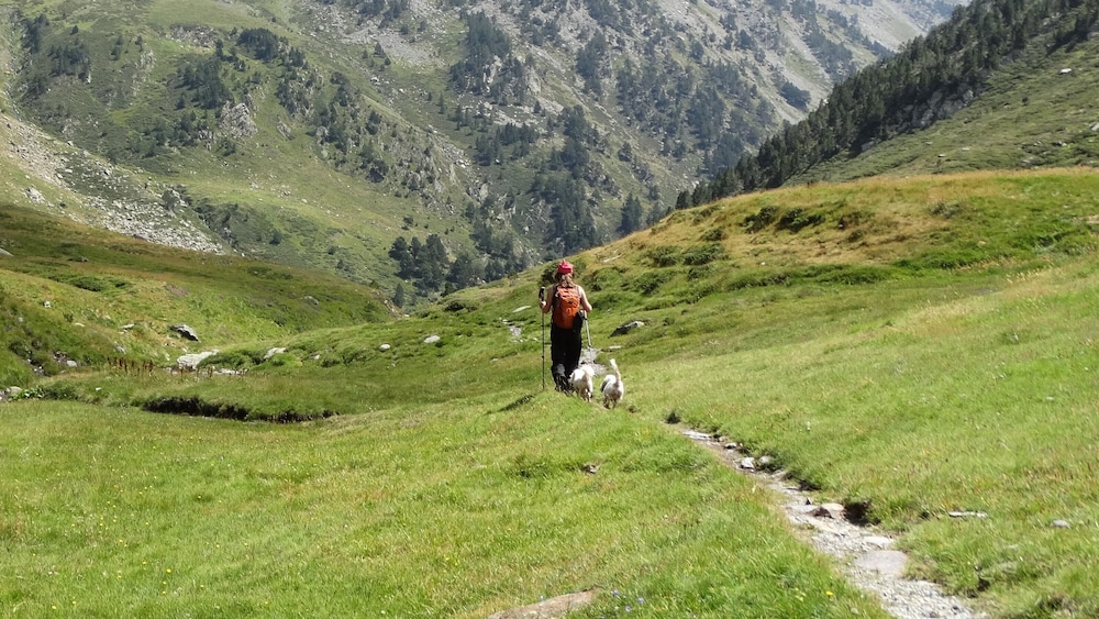 Apartaments La Neu