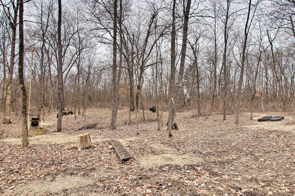 Updated Missouri Cabin Rental on Large Farm view 2