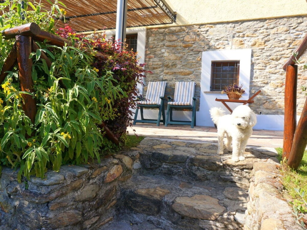 Photo 24
