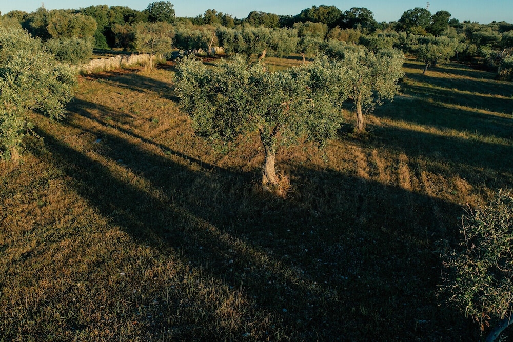Annunziatella Apulian Farm Experience