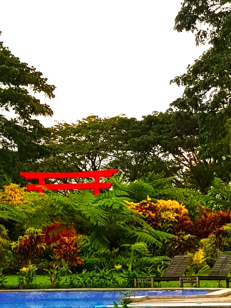 Sacred Garden Fiji - view 12