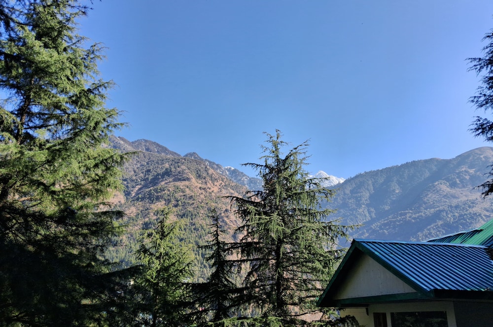 Himalayan Hostel