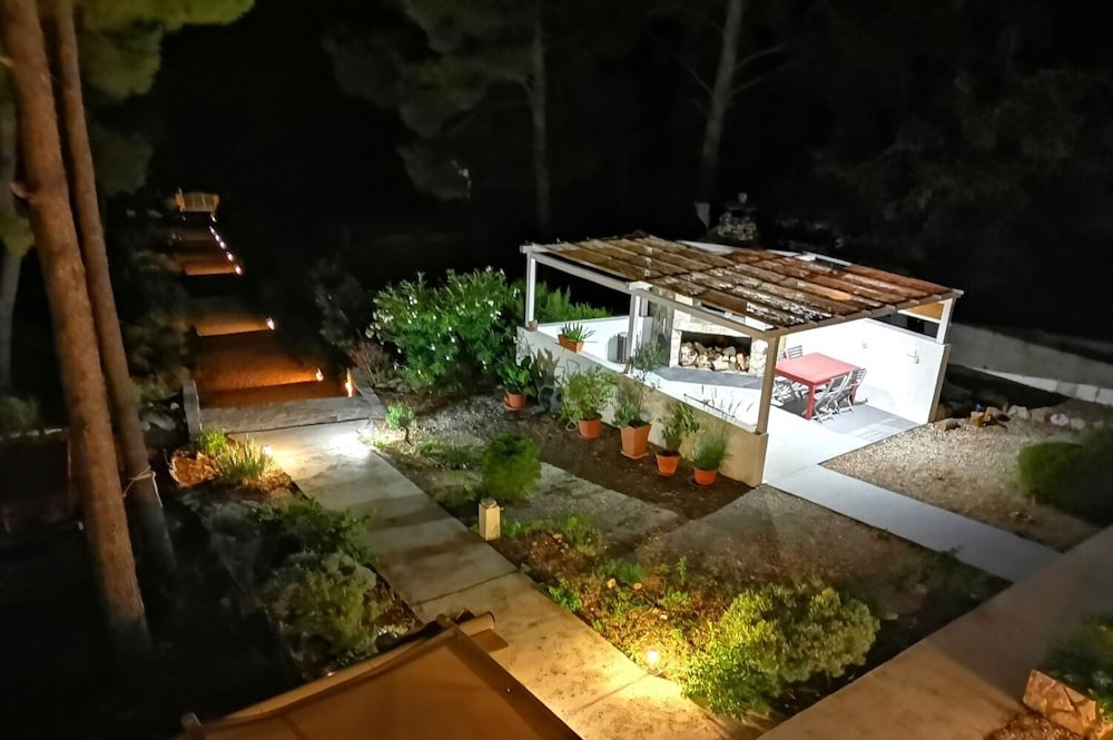 Dino - Gorgeous Garden - SA2 Jelsa