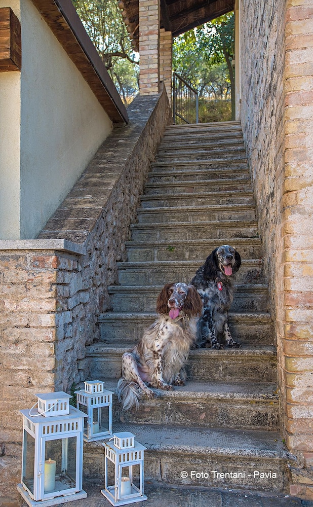 Setter House Agri Hotel