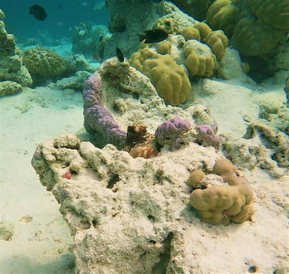 Photo 28