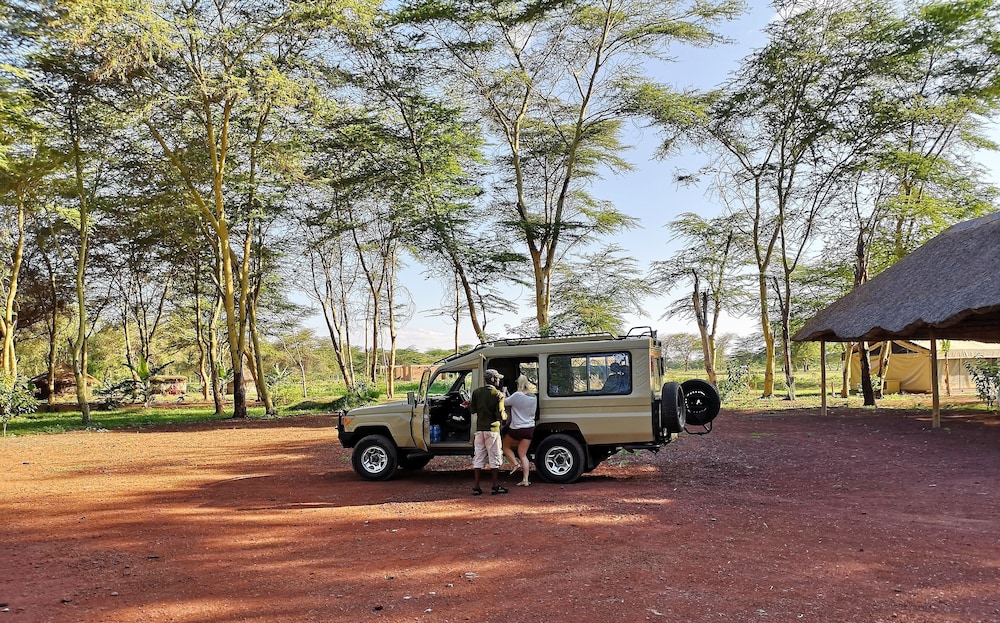 Africa Safari Lake Manyara