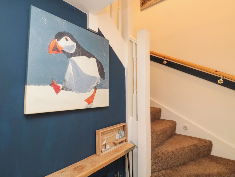 Fat Puffin