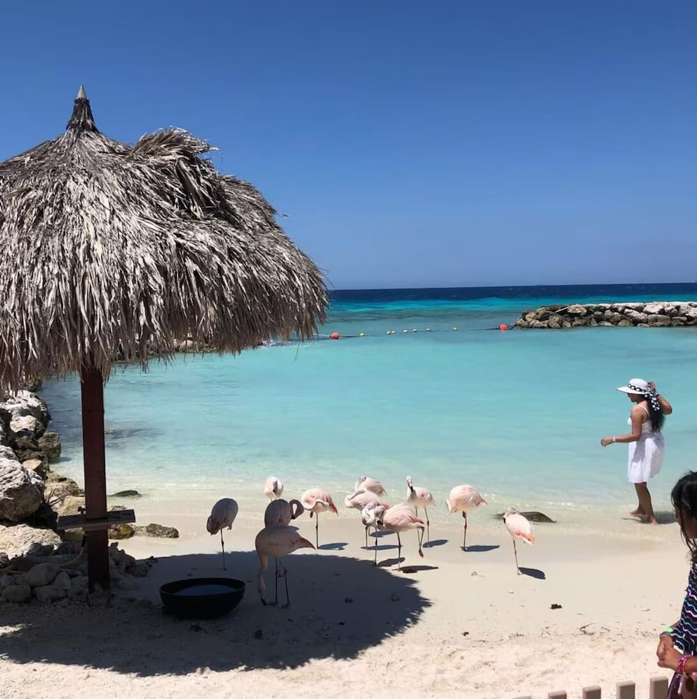 3 Bedroom Villa in Pos Chiquito Sun and Fun 5 Minute Walk to Beach