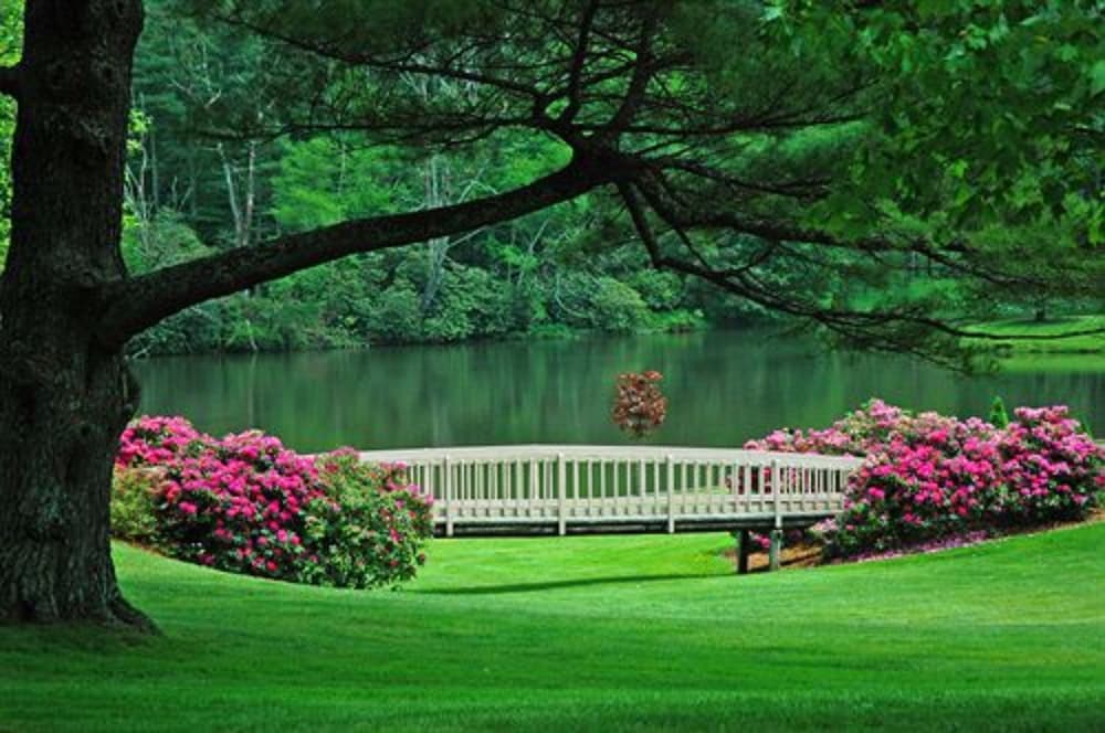 Bob Timberlake Inn at Chetola Resort