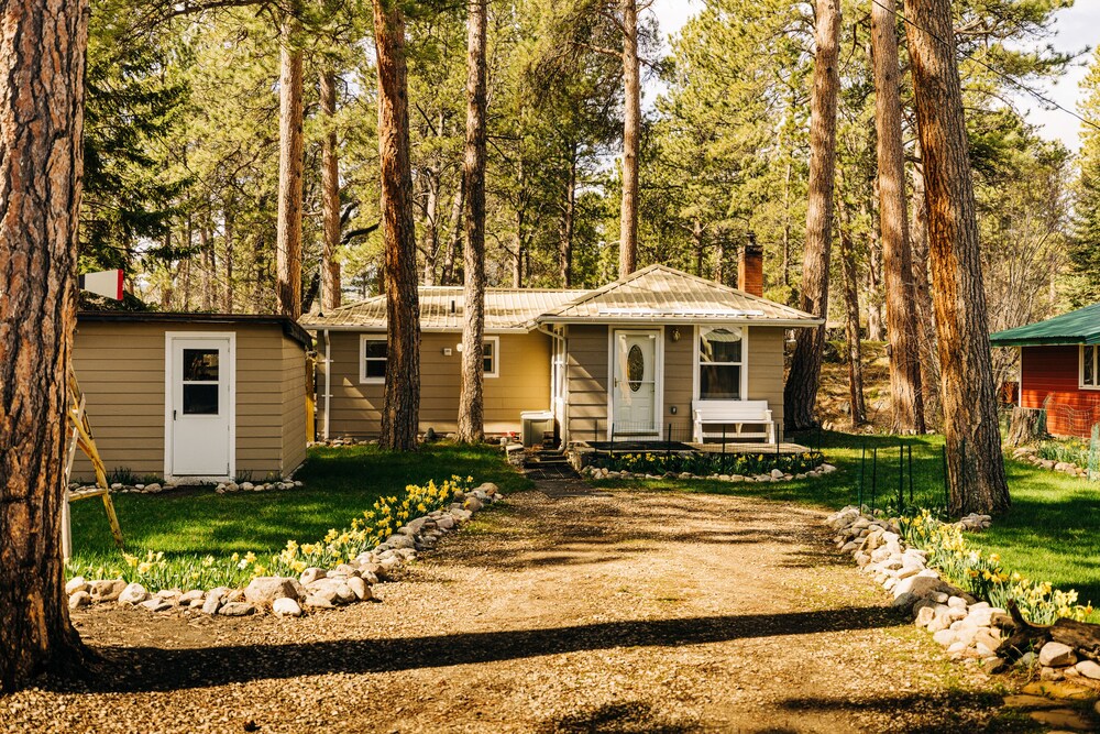 Serene Creek Side Cottage Retreat - Property Image 10