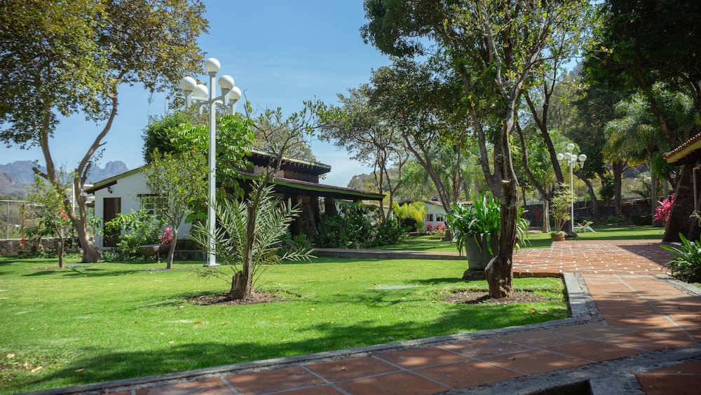 Photo 19