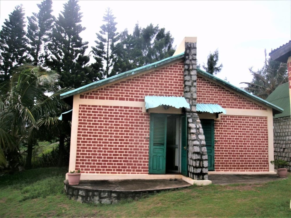 Ravinala Anosy