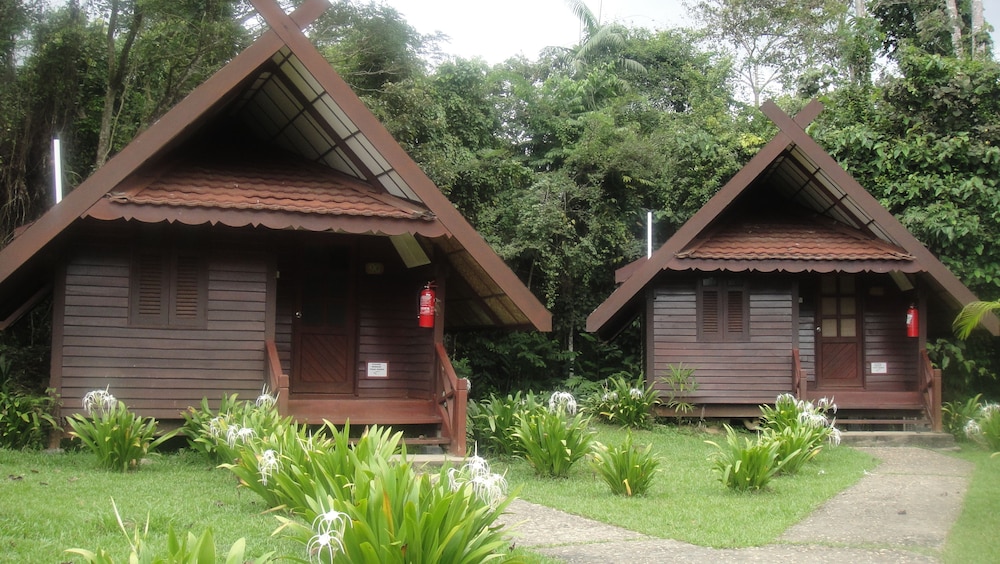 Mutiara Taman Negara 20