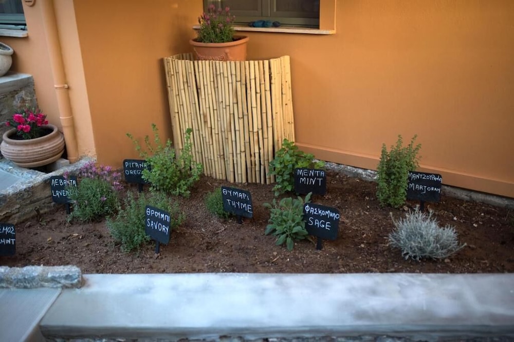 KANATHOS PIGI photo 2