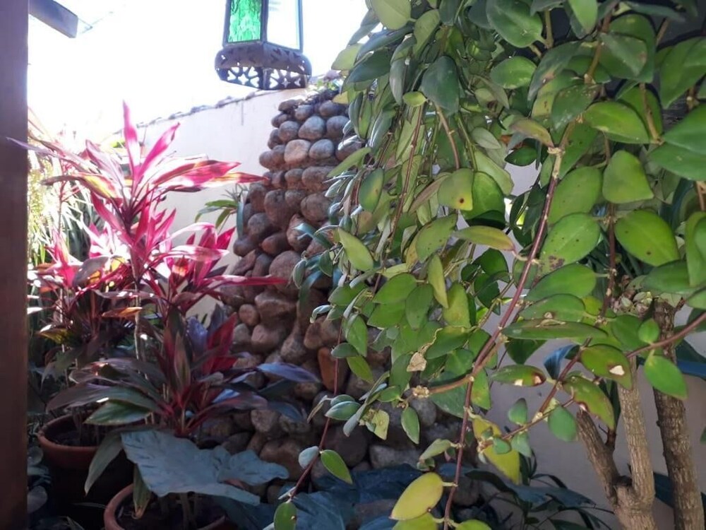 Pousada Naus de Paraty
