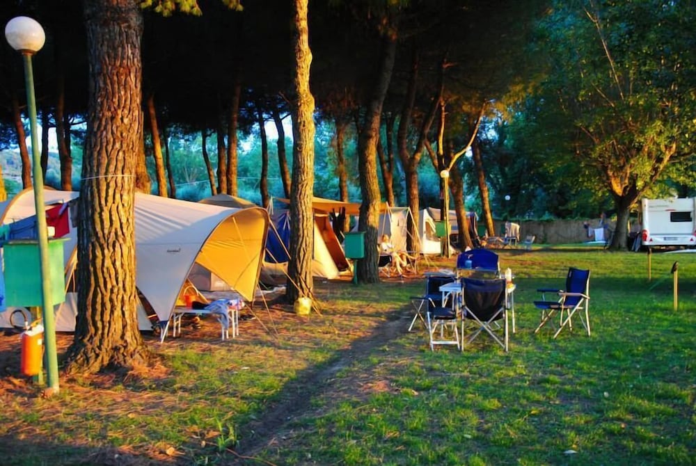 Camping Eden Park view 4