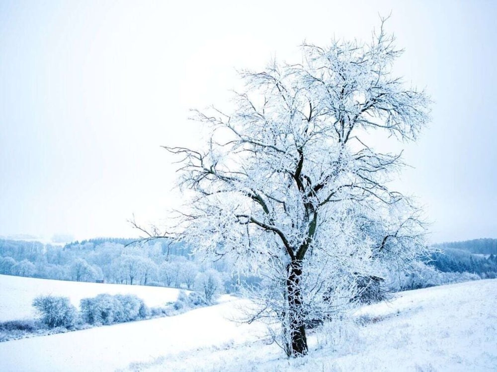 Majestic Apartment in Brakel