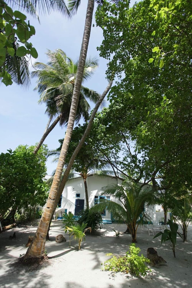Photo 46