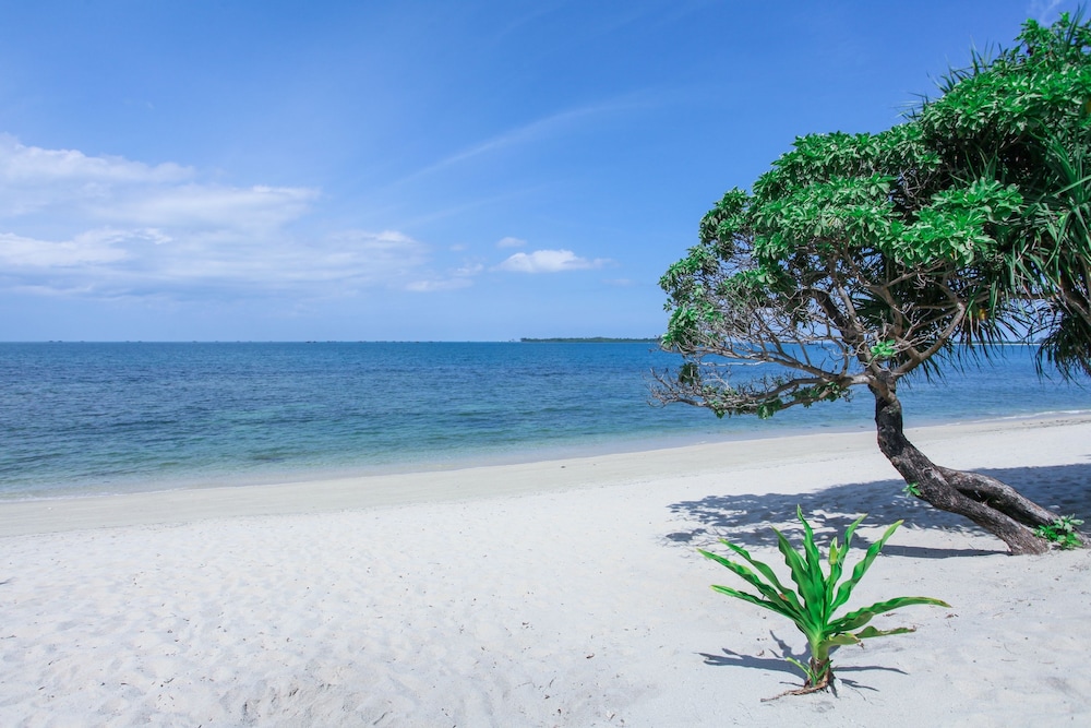 Trikora Beach Club & Resort