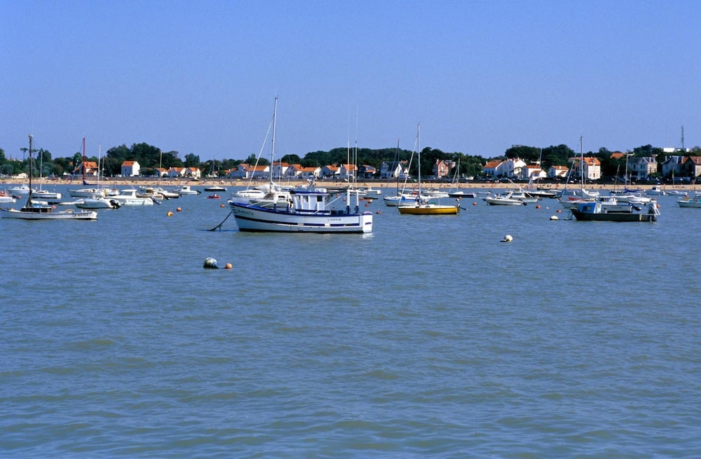 Photo 40