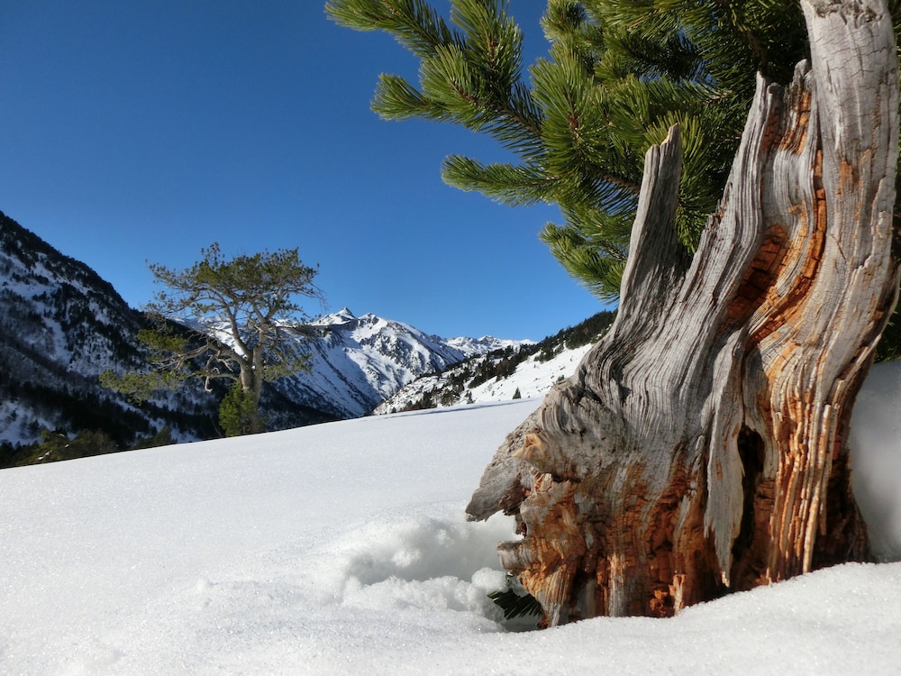 Apartaments La Neu