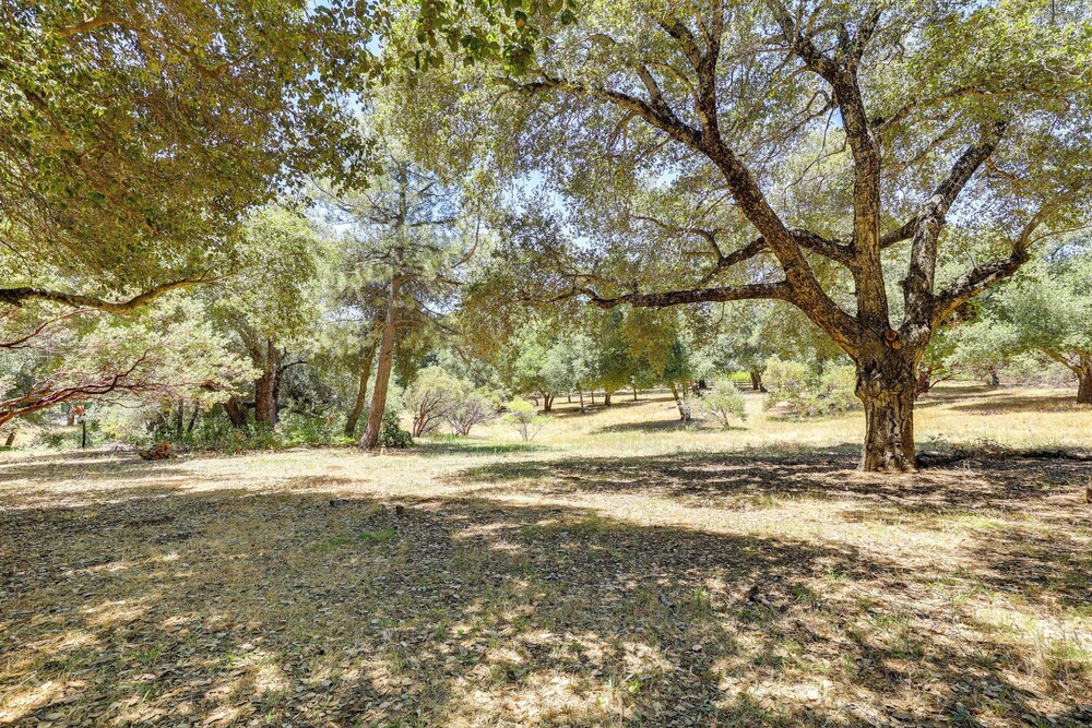 Wraparound Deck, Game Room - Cuyamaca Mtns Cabin!