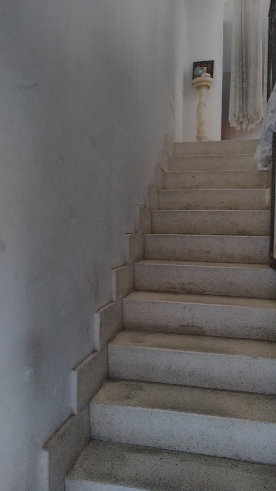 The Ark Hostel photo 2