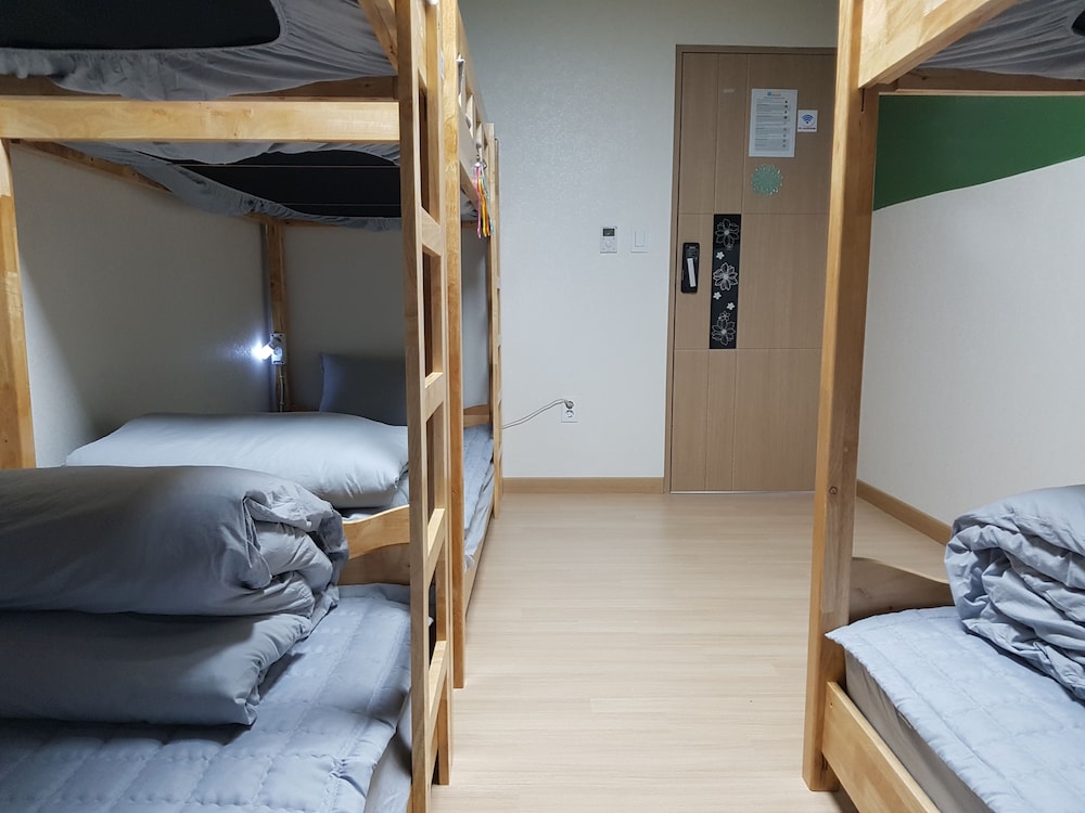 Buzz Guest House - Hostel