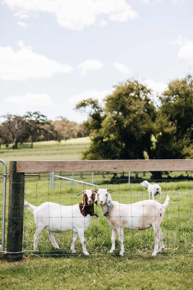 Moraea Farm Suite in Berry
