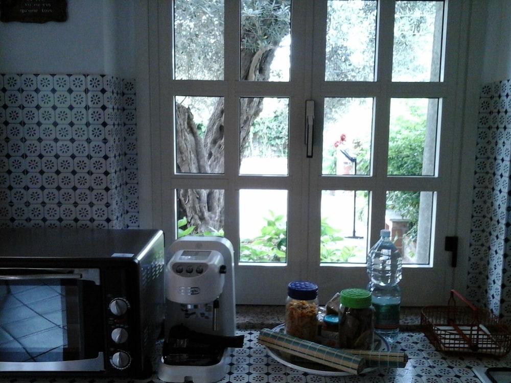 Photo 48