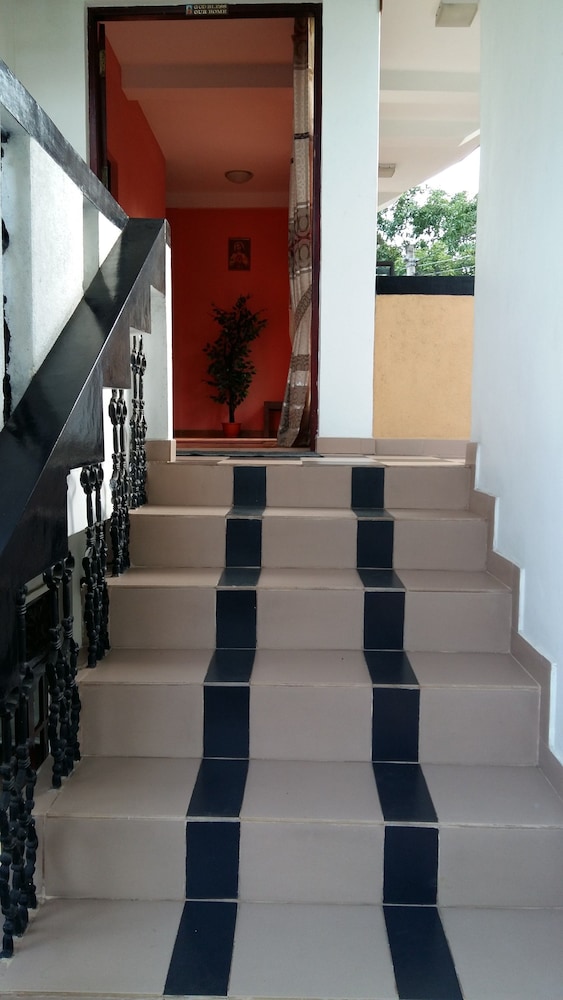 Photo 41