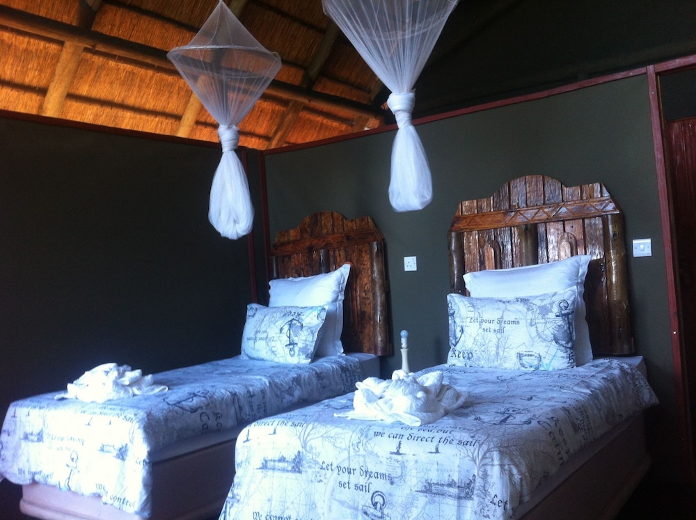 Lion Roars Lodge