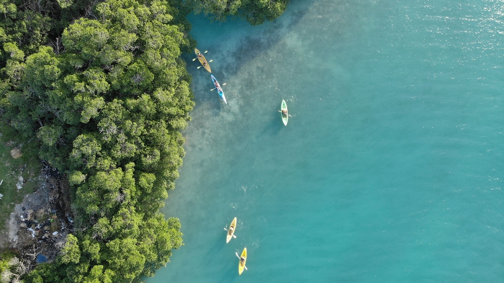 Shaka Caye