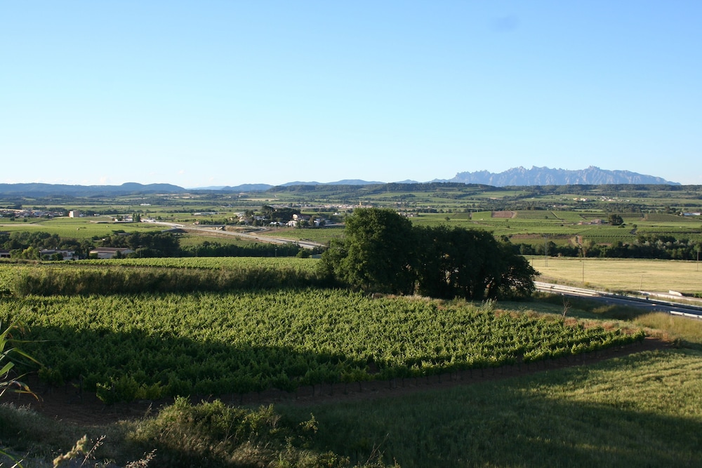 B&B Wine and Cooking Penedès