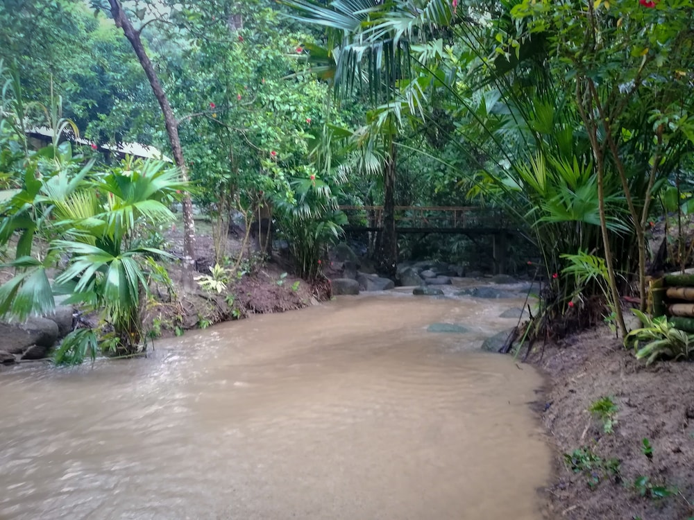 Ecohabs Bosques del Tayrona