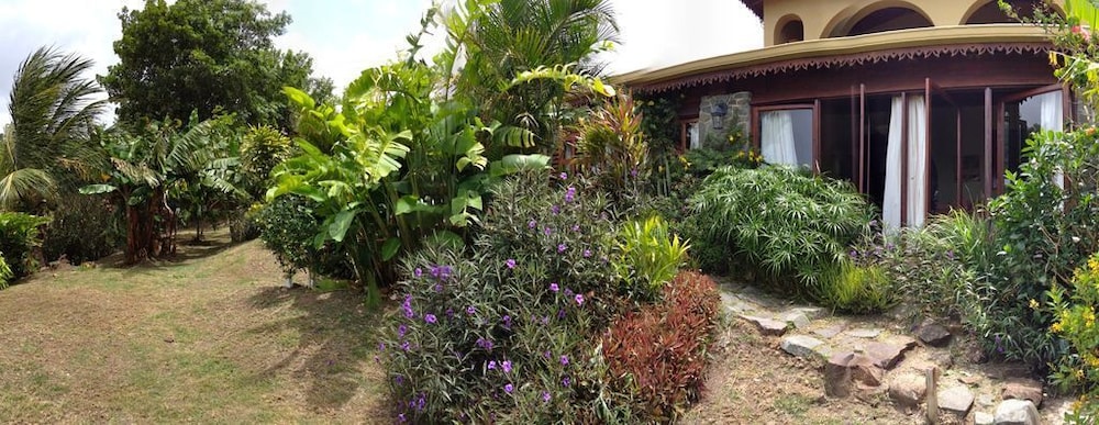 Photo 25