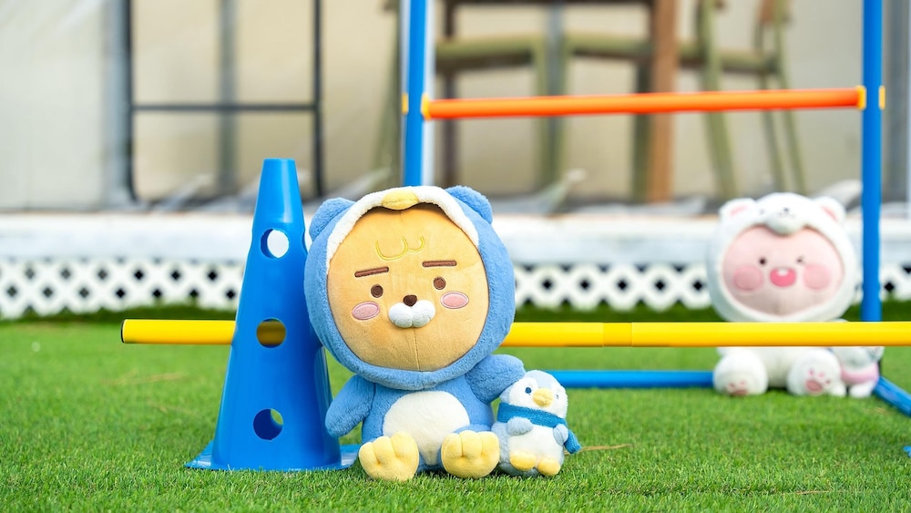 Jeju Dangdangi Dog Pension Black view 5