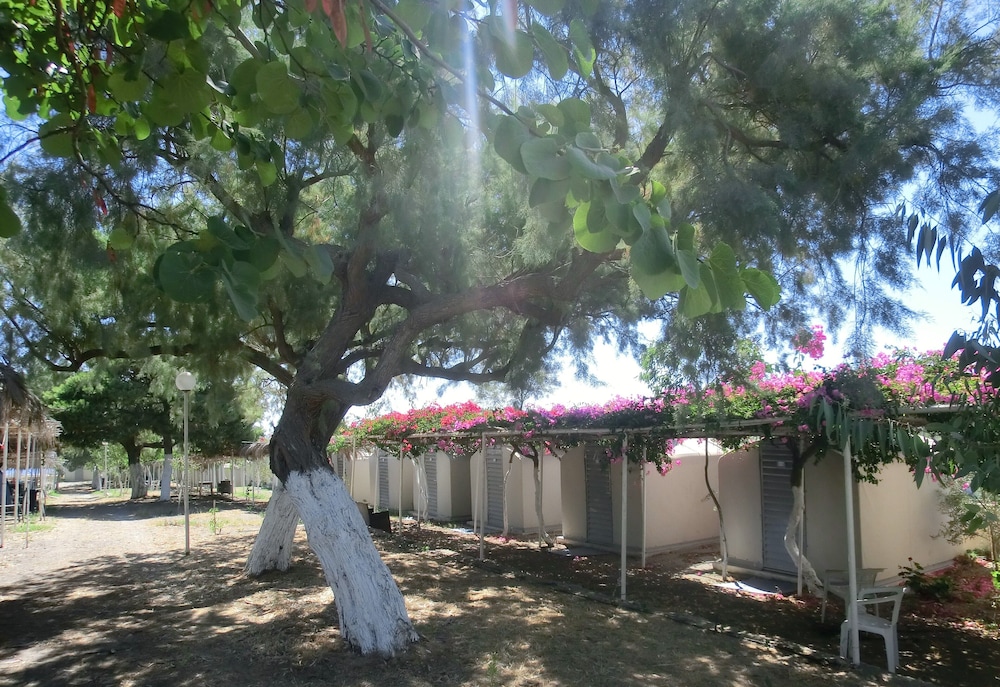 Santorini Camping & Hostel