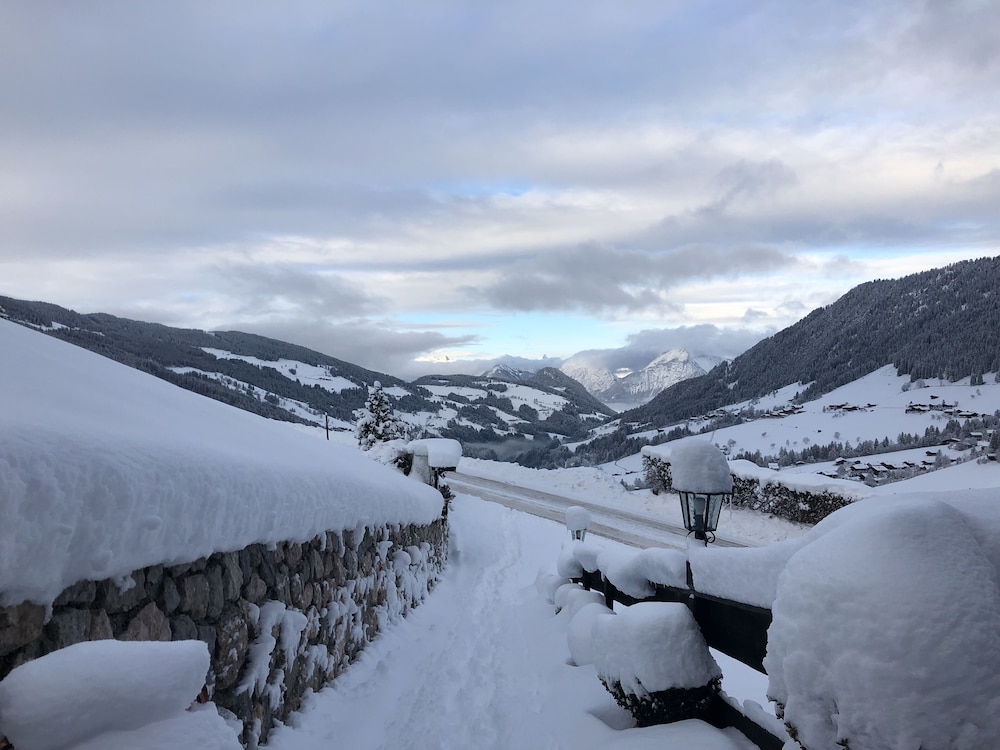 Alpbach Bergwald