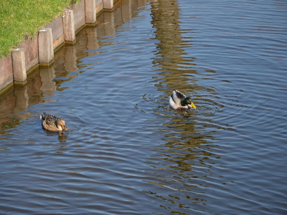Photo 30