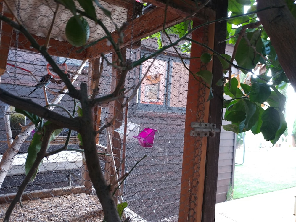 Assaf's Cabin, photo 20