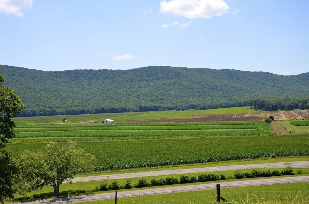 Mountain Cove Farms Resort