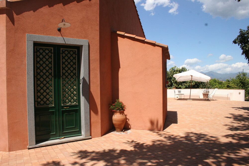 Photo 27