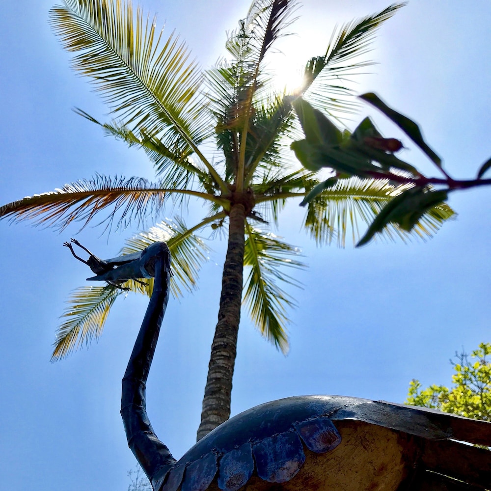 Rock and Sea Resort