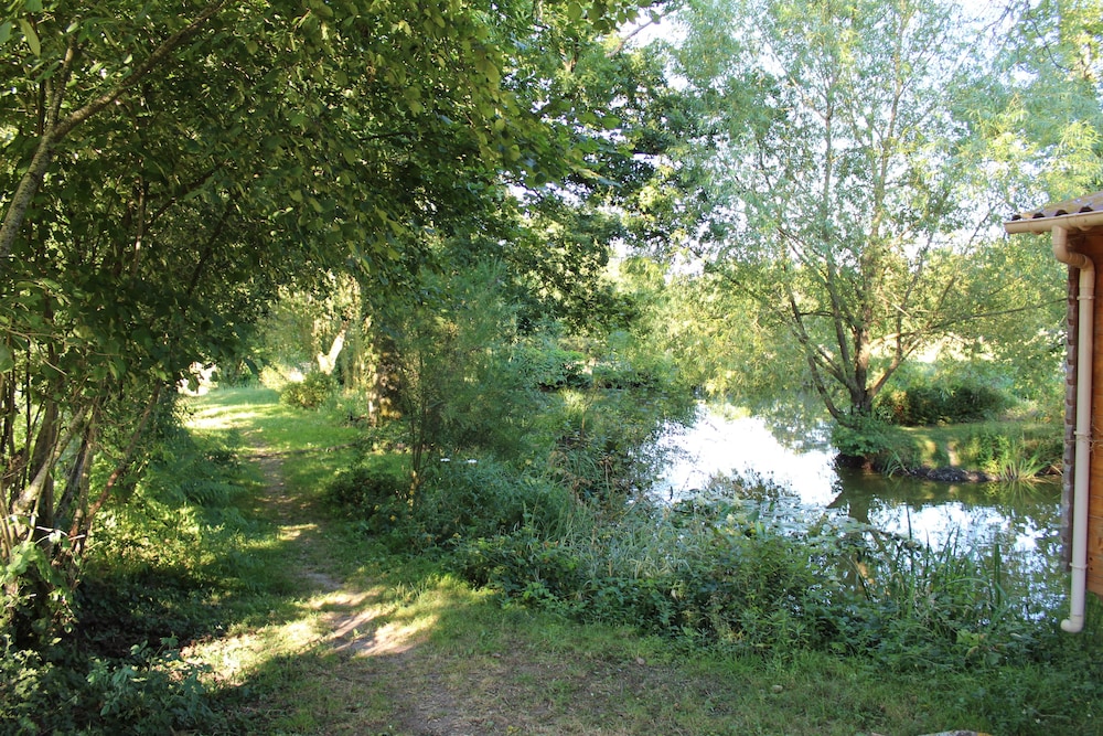 Photo 8