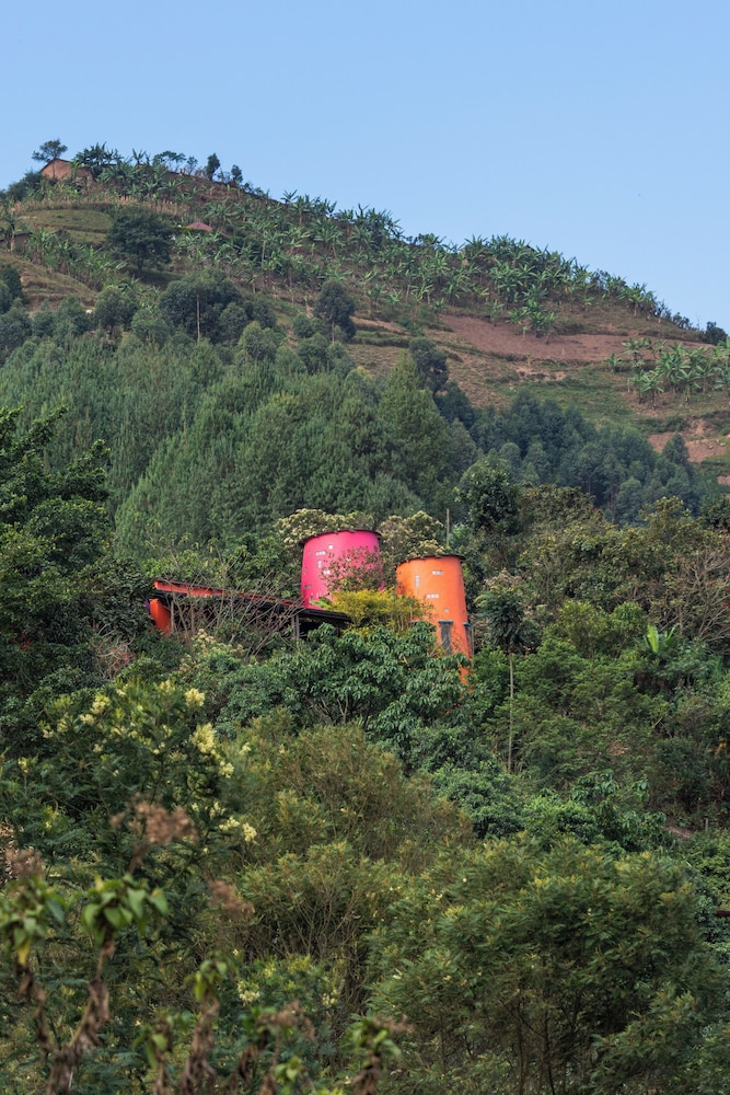 Chameleon Hill Forest Lodge