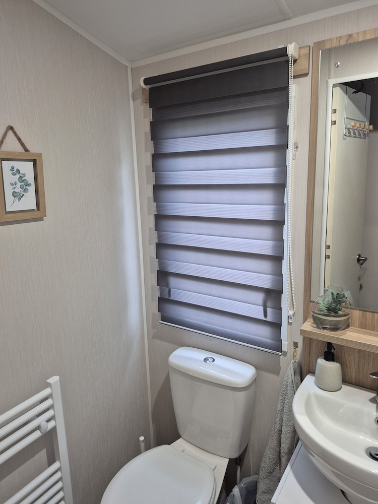 Cayton Bay Kestrel40