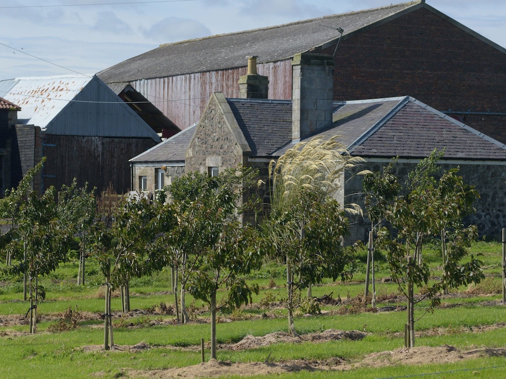 Knightsward Farm