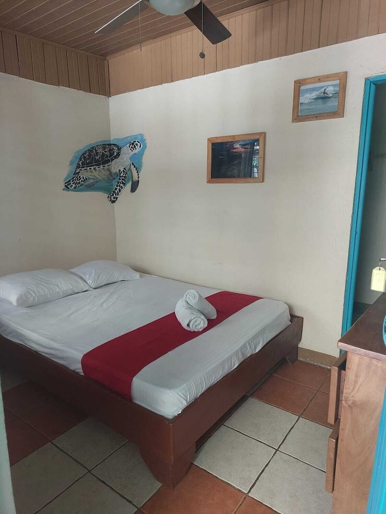 Blue Iguana - Property Image 8